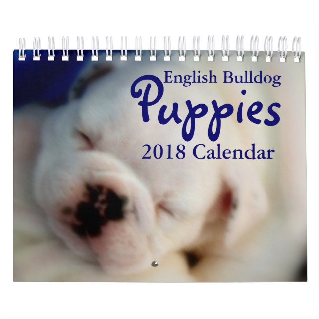Engelsk kalender för bulldoggvalpar 2018 (Omslag)