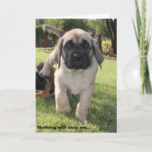 Engelsk mastiff-valentinönskan helgkort