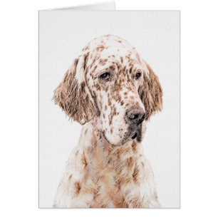 Engelsk Orange Belton Painting Hund Art Hälsningskort