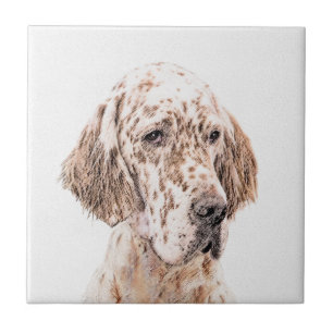 Engelsk Orange Belton Painting Hund Art Kakelplatta