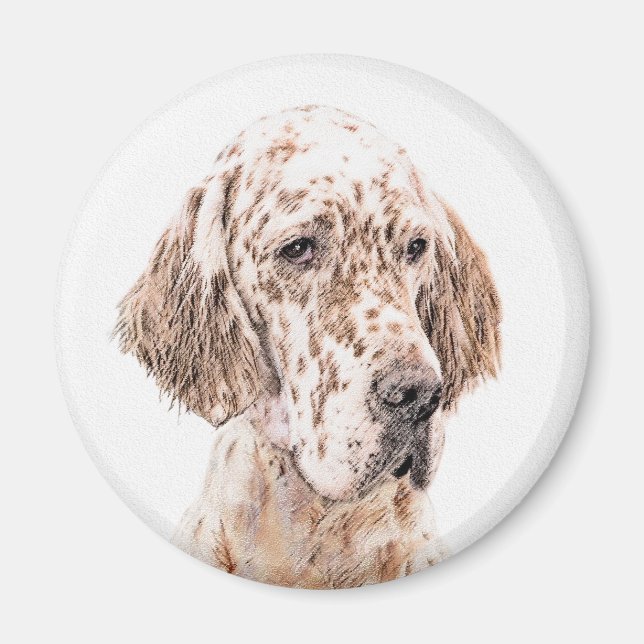 Engelsk Orange Belton Painting Hund Art Magnet (Framsidan)