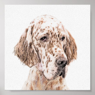 Engelsk Orange Belton Painting Hund Art Poster