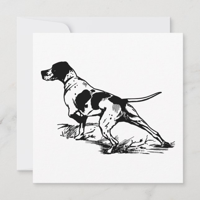 Engelsk pekare (Framsida)