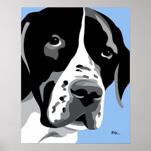 Engelsk pekare, Hund Poster