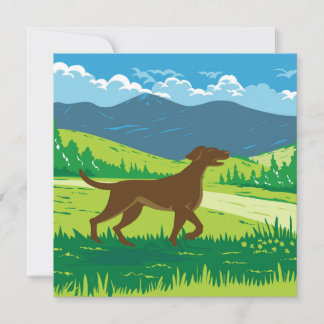 Engelsk pekare med Mount Redfield i Adi-Hund Kort