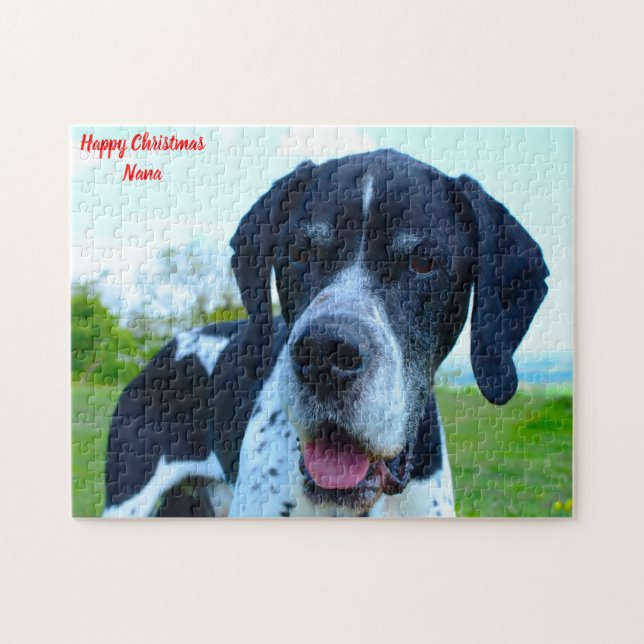 Engelsk Pointer Hund. Pussel (Horisontell)