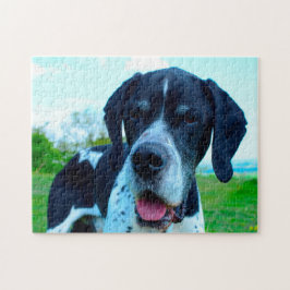 Engelsk Pointer Hund. Pussel