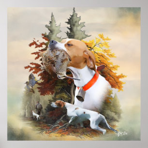 Engelsk Pointer Poster
