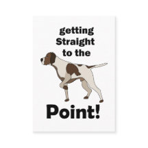Engelsk Pointer Rakt På Sak Dog Trainer