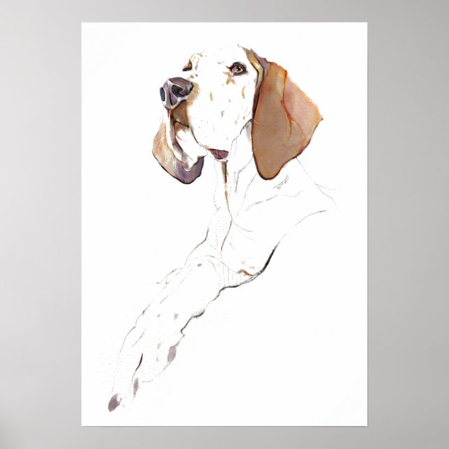 Engelsk Pointer Väggkonst Affisch, Hund Konsttryck (Framsidan)