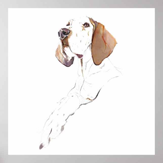 Engelsk Pointer Väggkonst Affisch, Hund Konsttryck (Framsidan)