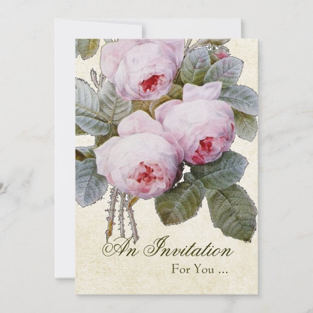 Engelsk Ros Pensionärsfest Anpassad Inbjudningar (Framsida)