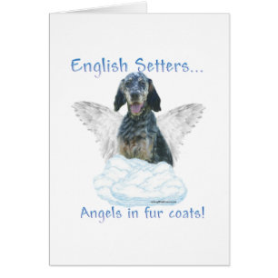 Engelsk setter Angel Hälsningskort