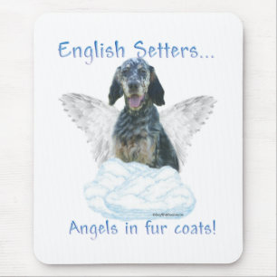 Engelsk setter Angel Musmatta