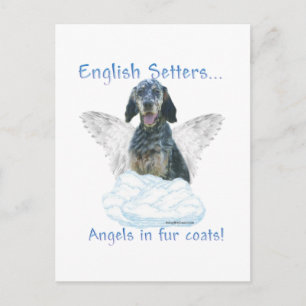 Engelsk setter Angel Vykort