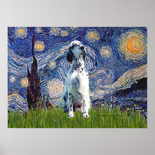 Engelsk Setter (BW) - Stjärnkväll Poster (Framsidan)