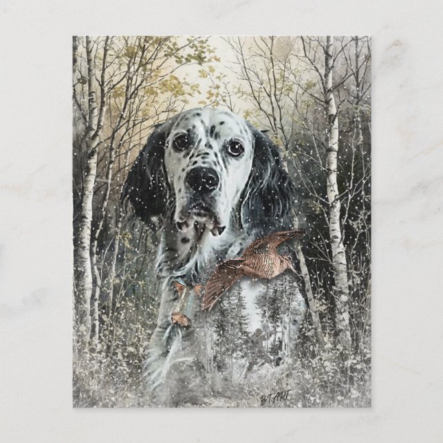 Engelsk Setter  Flygblad (Framsidan)
