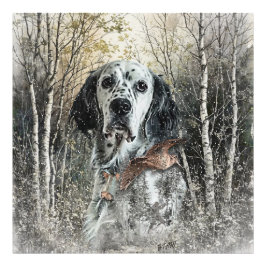 Engelsk Setter Fototryck