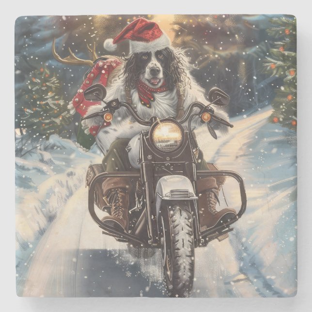 Engelsk Setter Hund Ridande Motorcykel Jul Stenunderlägg (Framsidan)