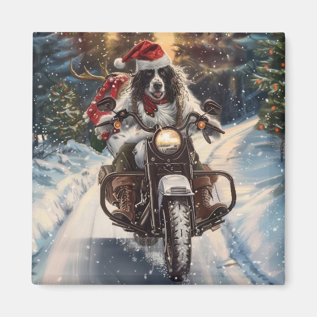 Engelsk Setter Hund Ridning Motorcykel Jul Magnet (Framsidan)