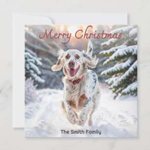 Engelsk Setter Hund Snö Akvarell God Jul Julkort