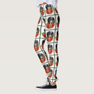Engelsk Setter-jul Leggings