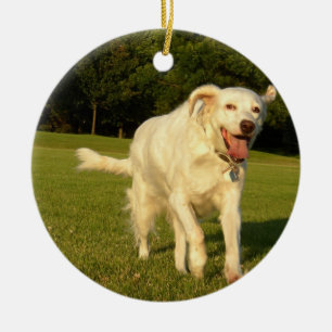Engelsk Setter Julgransprydnad Keramik