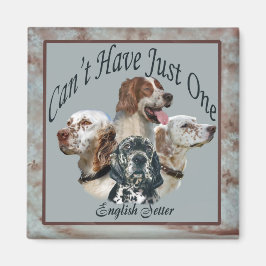 Engelsk setter kan inte bara ha en magnet