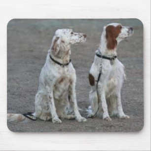 Engelsk Setter Mousepad Musmatta