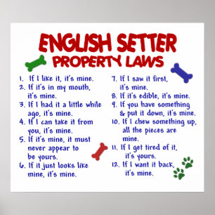 ENGELSK SETTER PL2 POSTER