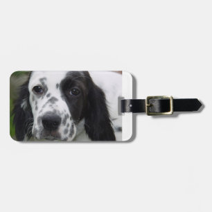 engelsk setter.png bagagebricka
