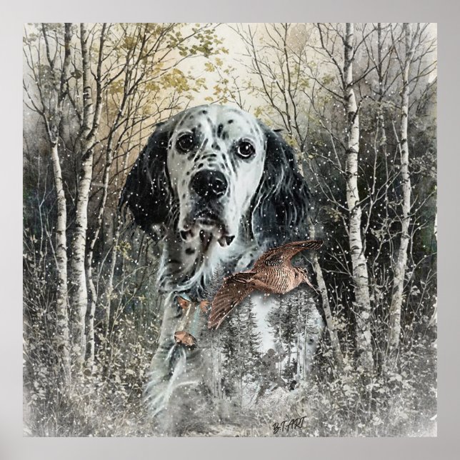 Engelsk Setter  Poster (Framsidan)