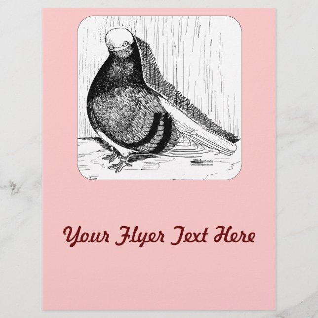 Engelsk Shortface Pigeon Bald 1978 Reklamblad (Framsidan)