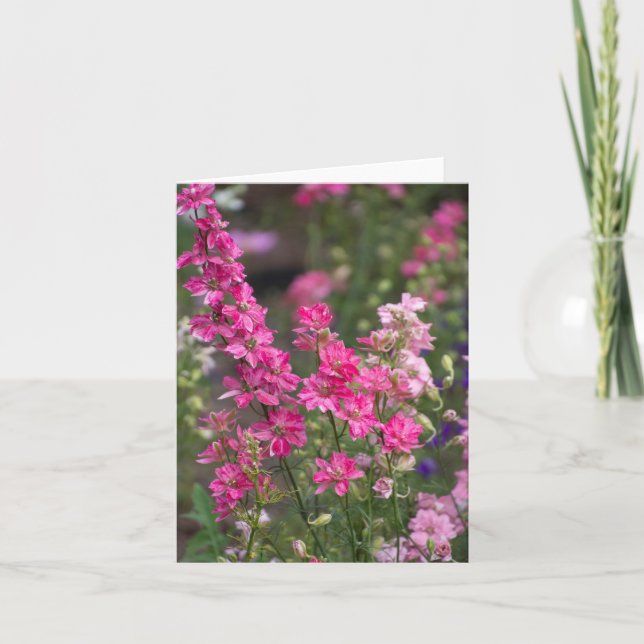 Engelsk sommarträdgård tack kort (Framsida)