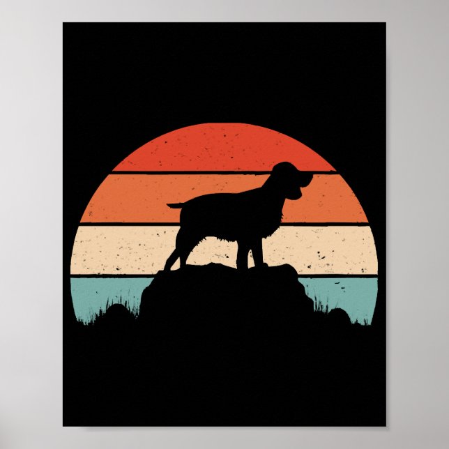 Engelsk spaniel poster (Framsidan)