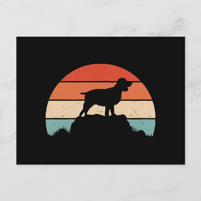 Engelsk spaniel vykort (Framsida)