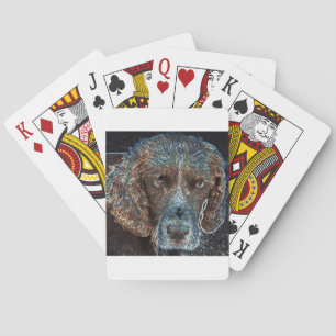 Engelsk Springer Casinokort
