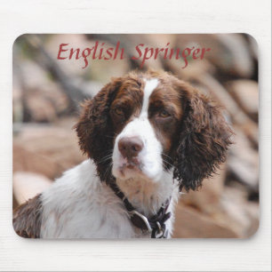 Engelsk Springer Mousepad Musmatta