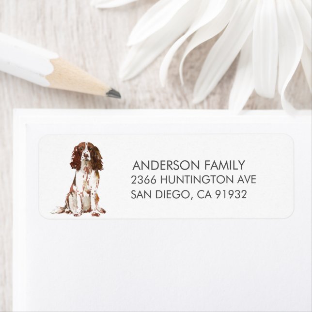 Engelsk Springer Spain Hund Return-adressetikett Returadress Etikett (Insitu)