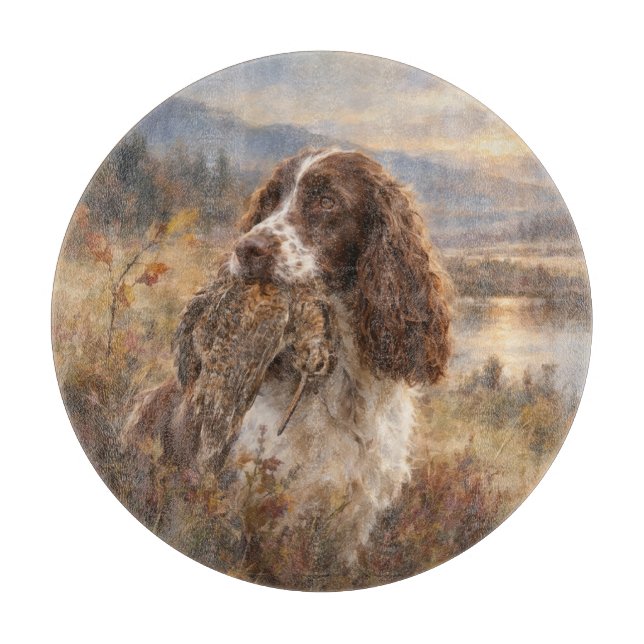 Engelsk Springer Spaniel  (Framsidan)