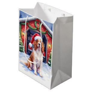 Engelsk Springer Spaniel Brandstation Tomte
