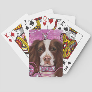 ENGELSK SPRINGER SPANIEL CASINOKORT