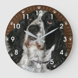Engelsk Springer Spaniel Husdjursfoto Stor Klocka