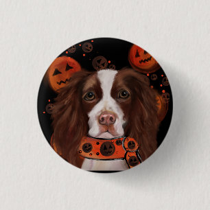 Engelsk Springer Spaniel Knapp