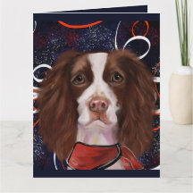 ENGelsk SPRINGER SPANIEL   
