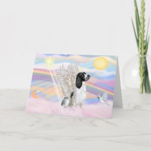Engelsk Springer Spaniel Kort