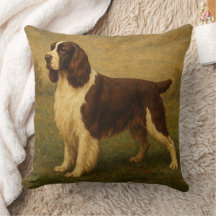 Engelsk Springer Spaniel
