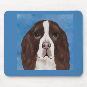 ENGELSK SPRINGER SPANIEL MUSMATTA