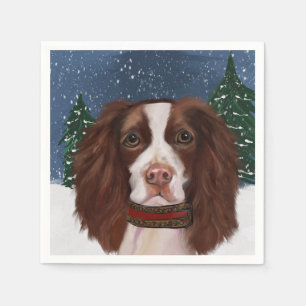 ENGELSK SPRINGER SPANIEL PAPPERSSERVETT