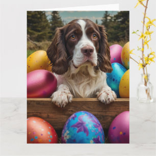 Engelsk Springer Spaniel Påskägg Kort